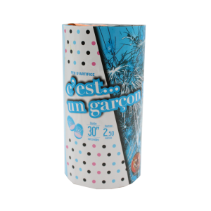 BABY SHOWER BLEU - 30 secondes