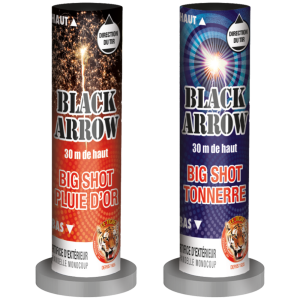 Boite de 2 Big Shots Black Arrow