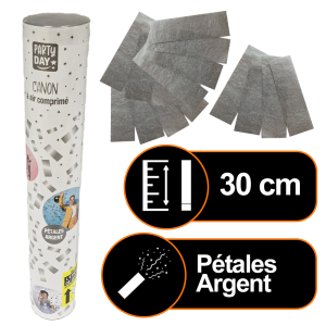 CANON AIR COMPRIME ARGENT 30cm