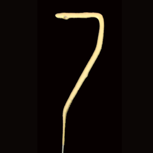 Cierge magique en forme de chiffre 7